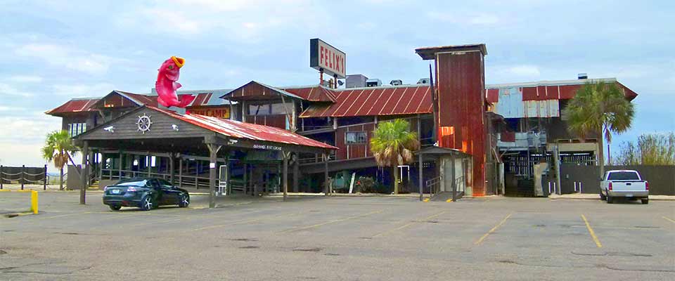 Annual Jean Dean RIF Luncheon at District Convention to be held at Felix’s Fish Camp
